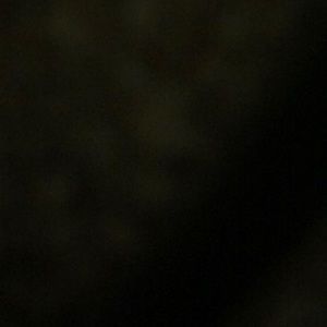 Meet your Posher, Dani